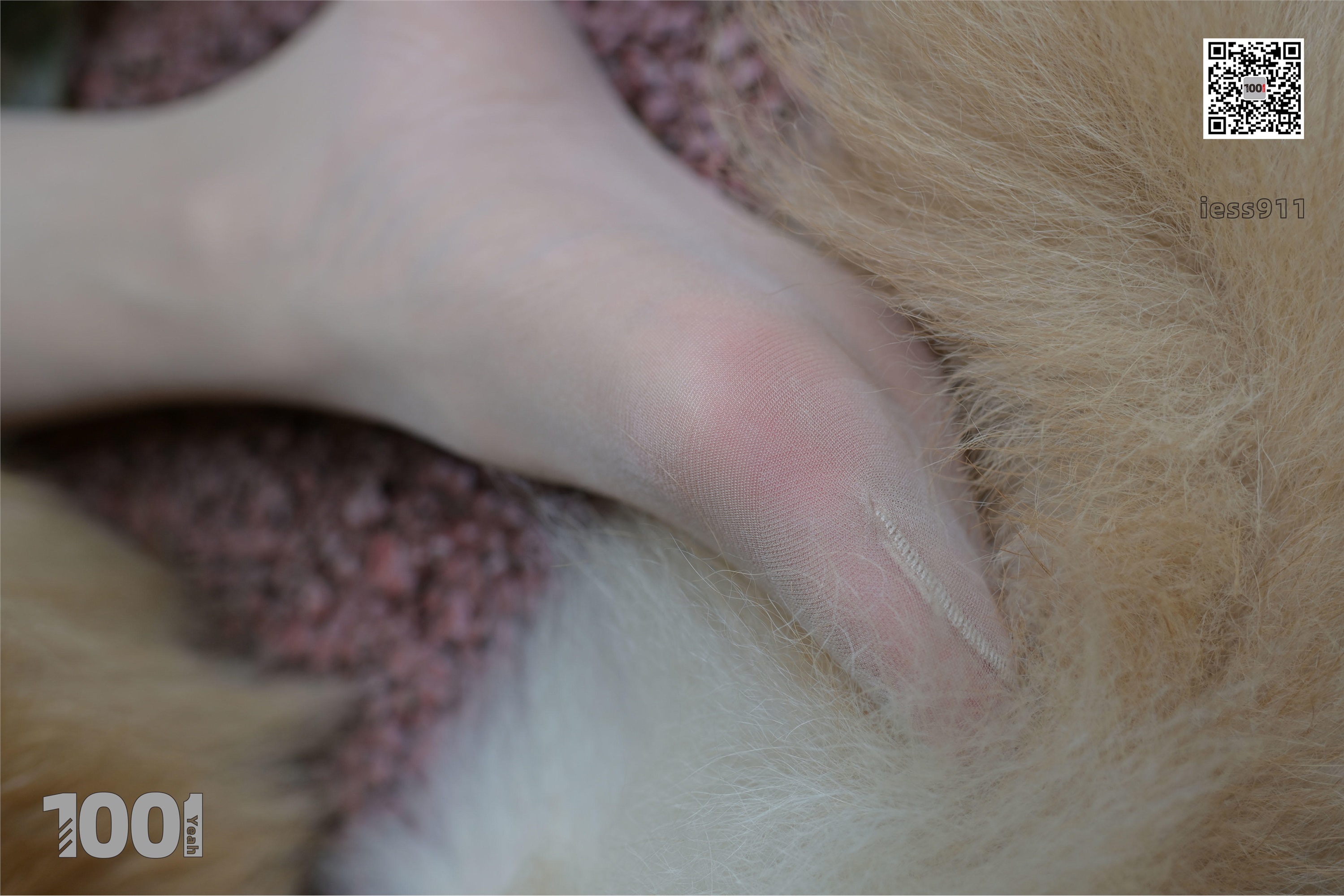 IESS异思趣向 一千零一夜 模特：真真《家有萌宠1》